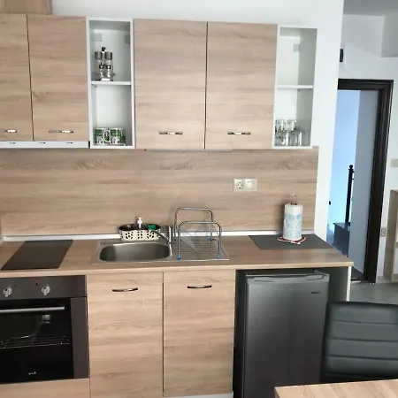 Theona Pensiune Obzor